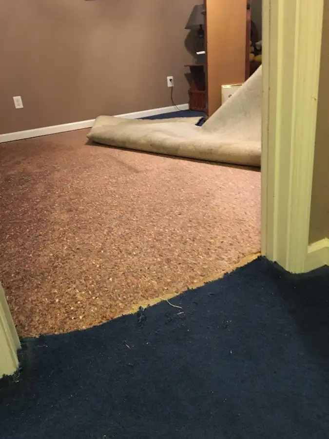 Carpet pad removal revealing water damage during Drying & Dehumidification in Winter Beach
